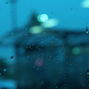 Meet your Posher, Tova